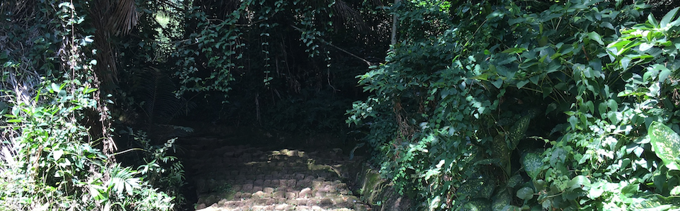 Entebbe Botanical Gardens